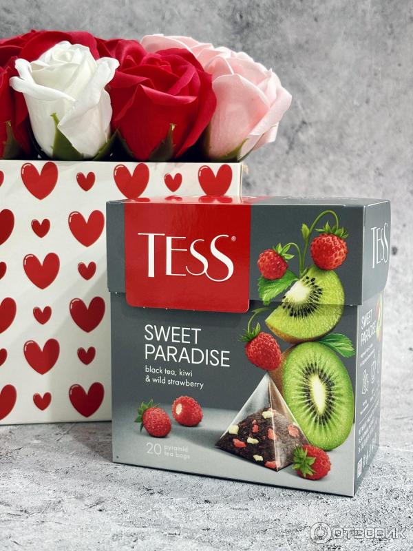 Орыс құлдары бейнеленген порно видеолар