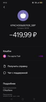 Платежная система Яндекс. Пэй фото