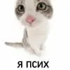 Ремиссия