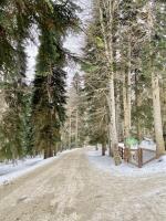 Горнолыжный курорт Архыз (Россия, Карачаево-Черкесия) фото