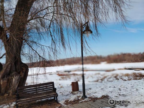 Щебечущий или щебечащий как правильно. Щебечущий или щебечащий как правильно