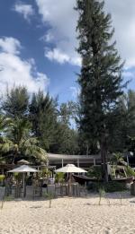 Пляж Банг Тао (Таиланд, Пхукет) фото