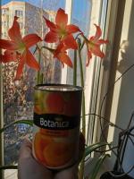 Персики в сиропе Botanica фото
