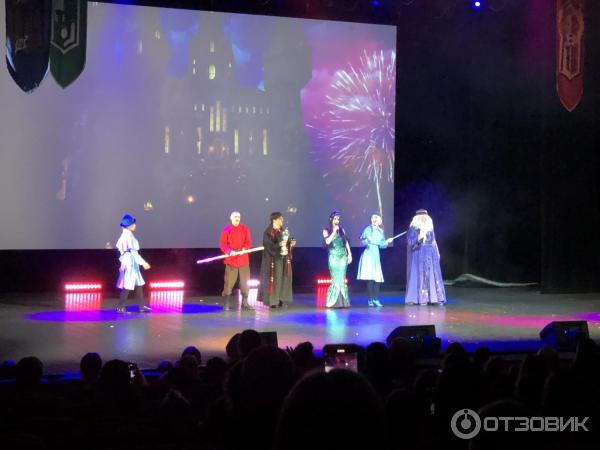 Шоу-спектакль Гарри Поттер. Турнир трех волшебников от ФанШоу (Россия, Санкт-Петербург) фото