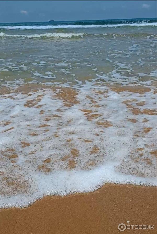 чёрное море стамбул