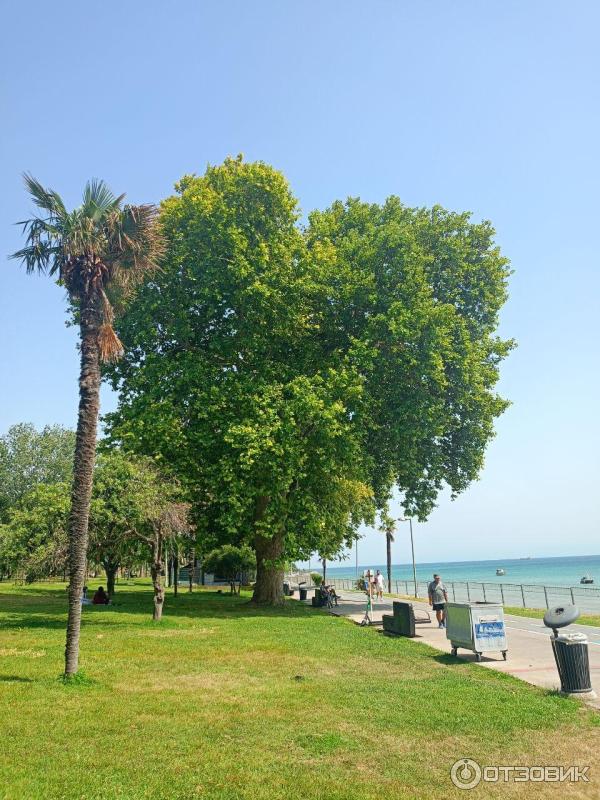 aqua florya