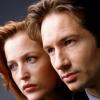 Mulder15