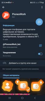 Pionex work в Телеграм Семья Alina фото