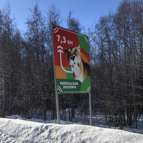 Карельский зоопарк (Россия, Сортавала) фото