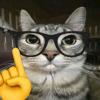 OpinionExplorer