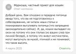 Приют для кошек "Муркоша" (Россия, Москва) фото