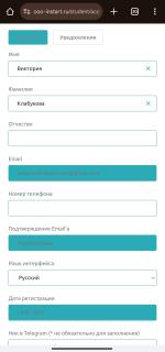 Бизнес-проект INSTART фото