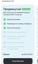 Карта Яндекс Пэй фото
