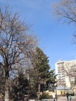 Отдых в г. Кисловодск (Россия) фото