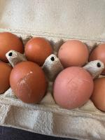 Яйца куриные "Щедрый год" фото