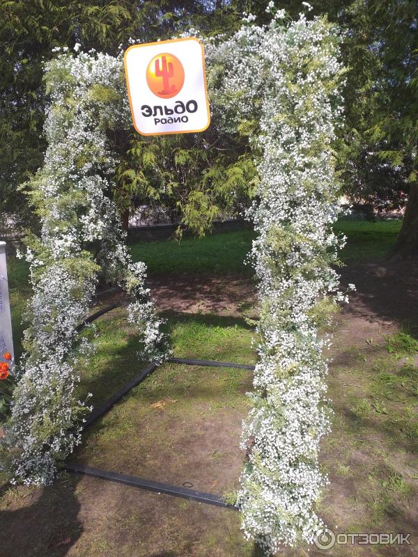 Фестиваль тюльпанов на Елагином острове (Россия, Санкт-Петербург) фото