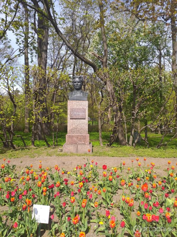 Фестиваль тюльпанов на Елагином острове (Россия, Санкт-Петербург) фото