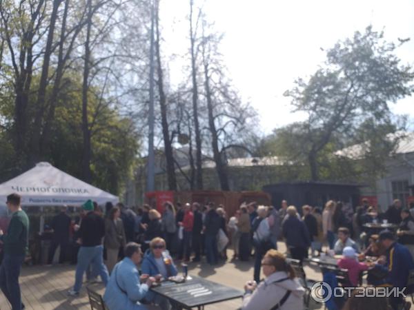 Фестиваль тюльпанов на Елагином острове (Россия, Санкт-Петербург) фото