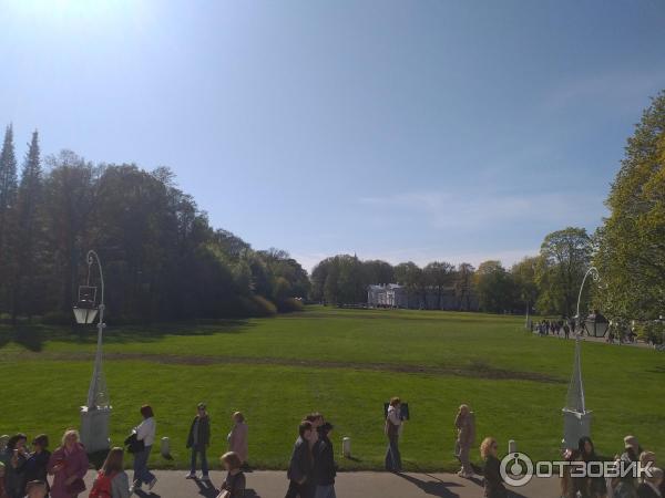 Фестиваль тюльпанов на Елагином острове (Россия, Санкт-Петербург) фото