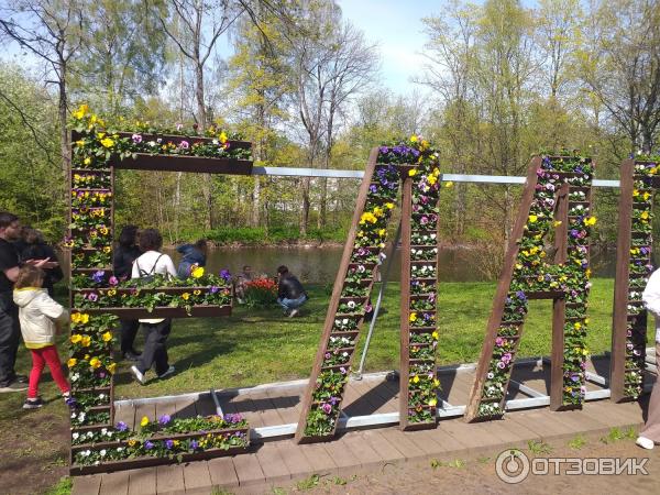 Фестиваль тюльпанов на Елагином острове (Россия, Санкт-Петербург) фото