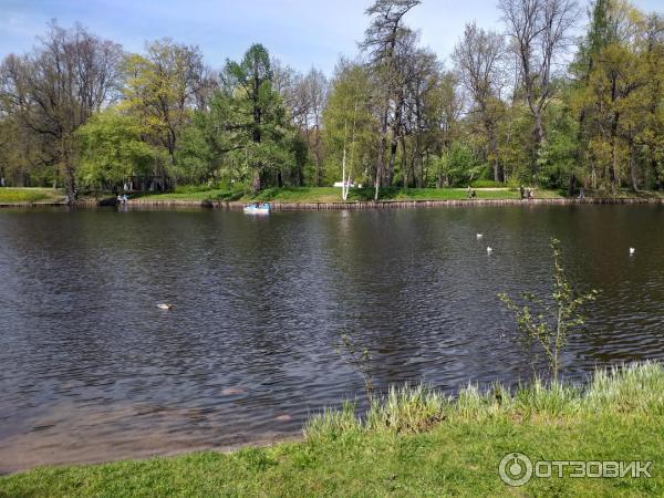 Фестиваль тюльпанов на Елагином острове (Россия, Санкт-Петербург) фото