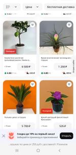 Флаувау - маркетплейс цветов и подарков фото