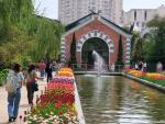 Ботанический сад МГУ (Аптекарский огород) (Россия, Москва) фото