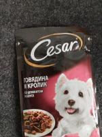 Корм для собак Cesar фото