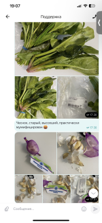 Служба доставки "Яндекс Еда" фото