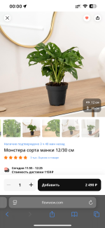 Флаувау - маркетплейс цветов и подарков фото