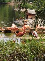 Московский Зоопарк (Россия, Москва) фото