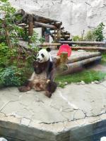 Московский Зоопарк (Россия, Москва) фото