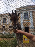 Московский Зоопарк (Россия, Москва) фото