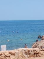 Турагентство Baby Travel Club фото