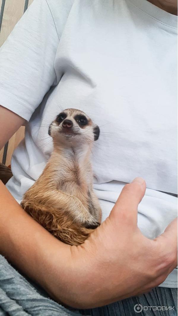 Антикафе Хата Суриката (Россия, Москва) фото