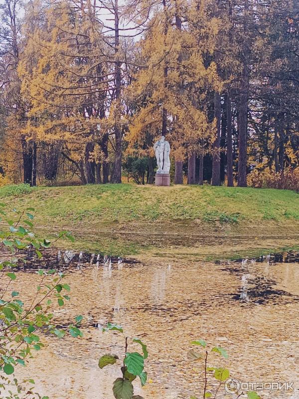 Елагин Остров (Россия, Санкт-Петербург) фото