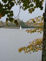 Круизная компания "Инфофлот" (Россия, Москва) фото