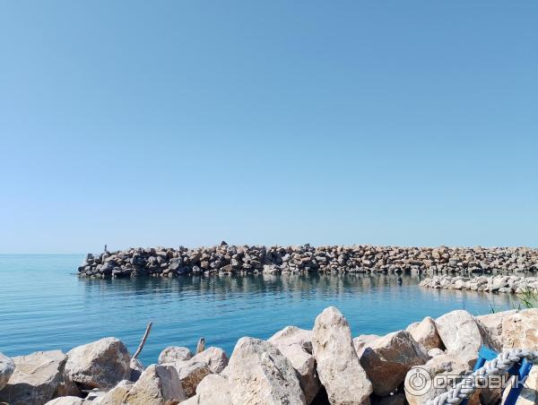 Отзывы о каркасный дом в Ольгинка