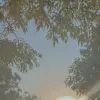darrjja