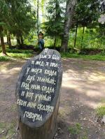 Сказочная тропа "Лукоморье" (Россия, Верхние Мандроги) фото