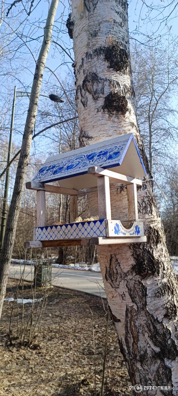 Парк Затюменский (Россия, Тюмень) фото
