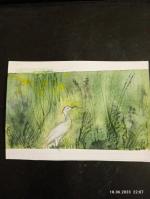 Kalachevaschool.ru - онлайн-школа рисования Вероники Калачевой фото