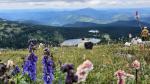 Конный тур по горному Алтаю "Маяк Алтай" (Россия, Алтайский край) фото