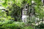 Ботанический сад МГУ (Аптекарский огород) (Россия, Москва) фото