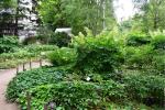 Ботанический сад МГУ (Аптекарский огород) (Россия, Москва) фото