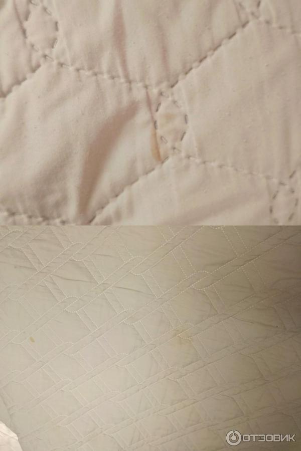 Поезд 221 Анапа-Архангельск фото