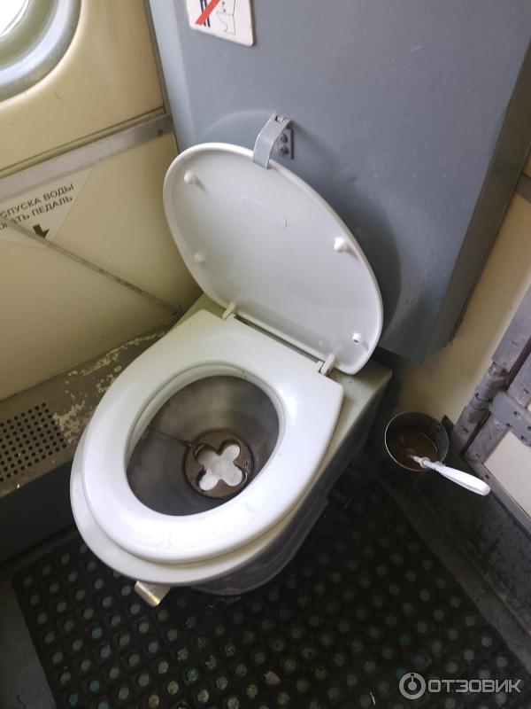 Поезд 221 Анапа-Архангельск фото