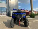 Магазин Globaldrive (Россия, Москва) фото