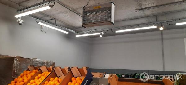 Сеть дискаунтеров Чижик (Россия) фото