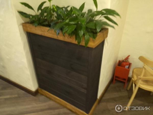 Сеть хинкальных Старик Хинкалыч (Россия, Санкт Петербург) фото